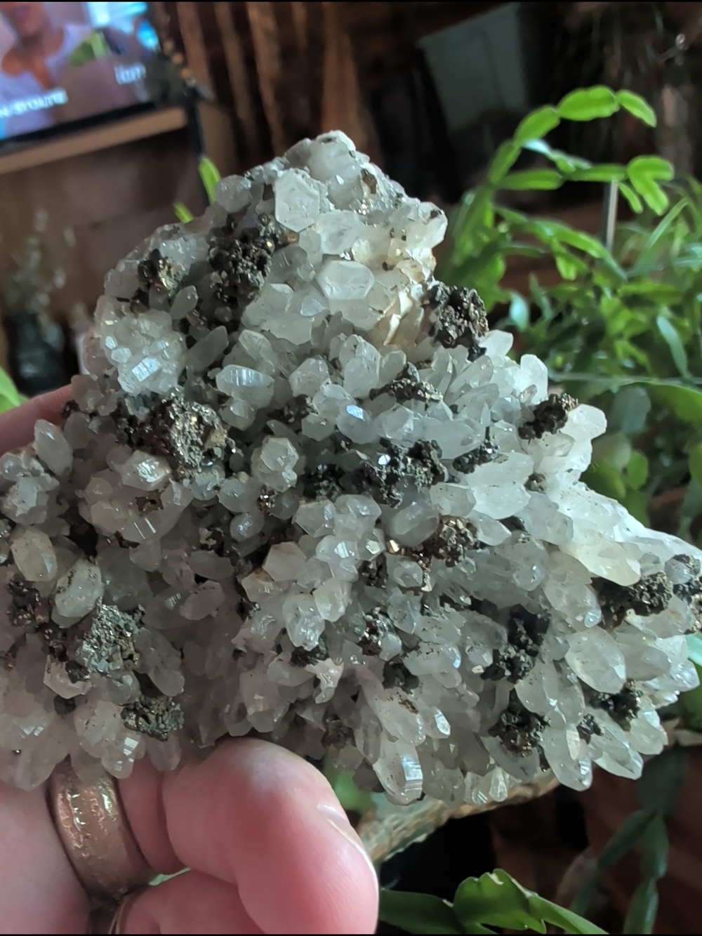 Natural White Quartz Pyrite Cluster Decorative Specimen 250+ Grams!
